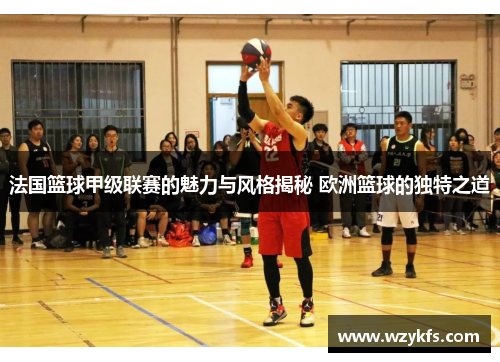 法国篮球甲级联赛的魅力与风格揭秘 欧洲篮球的独特之道